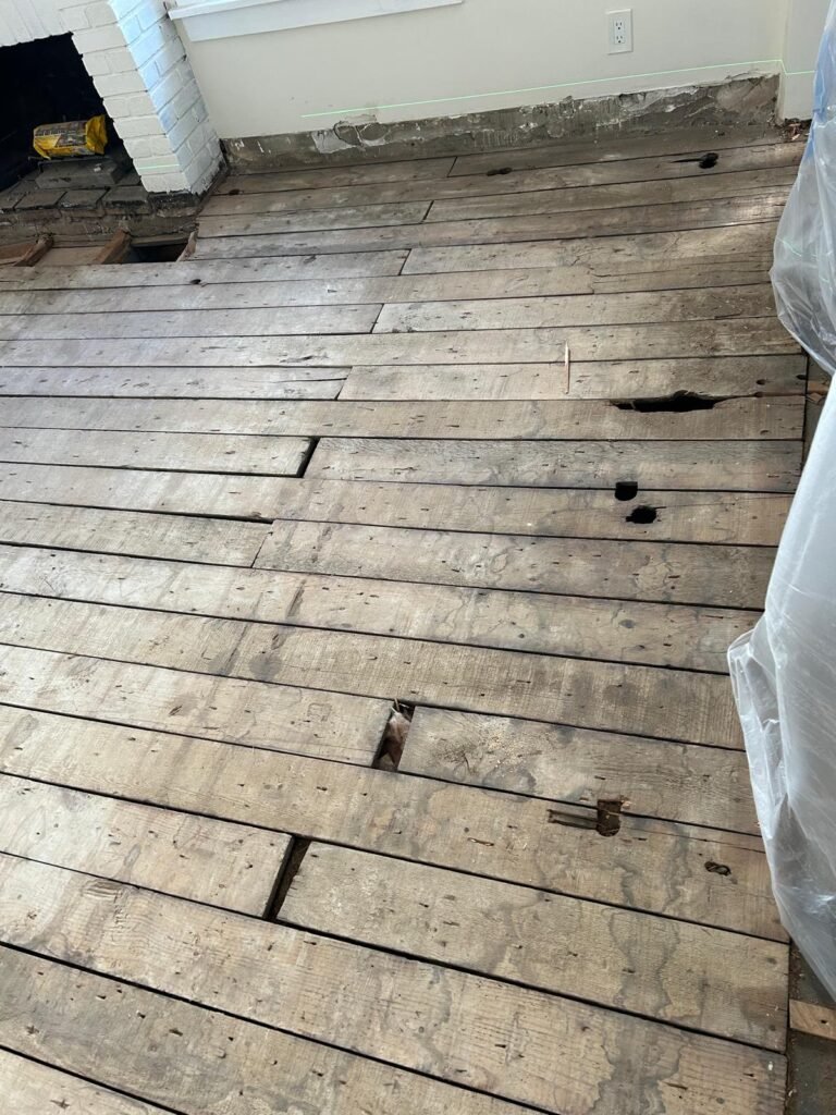 WhatsApp Image 2026-01-13 at 7.37.52 PM (1)