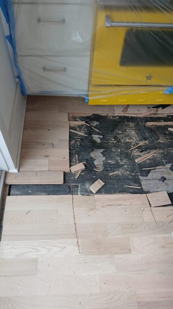 WhatsApp Image 2026-01-13 at 7.51.28 PM (2)