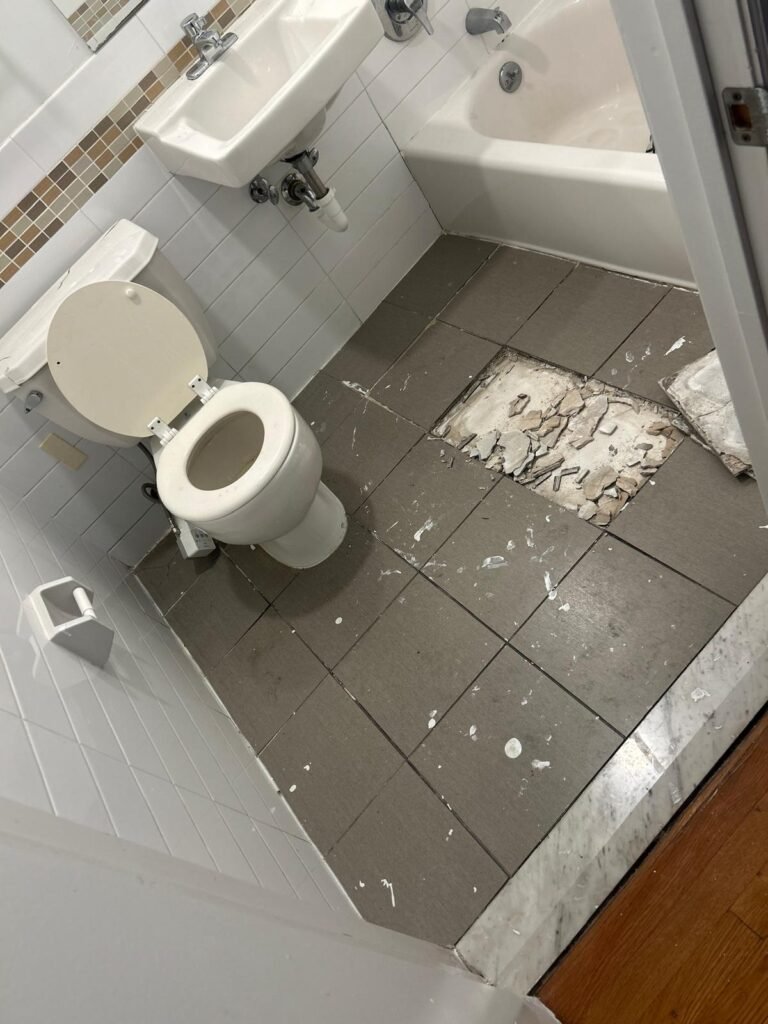 WhatsApp Image 2026-01-14 at 10.50.24 AM